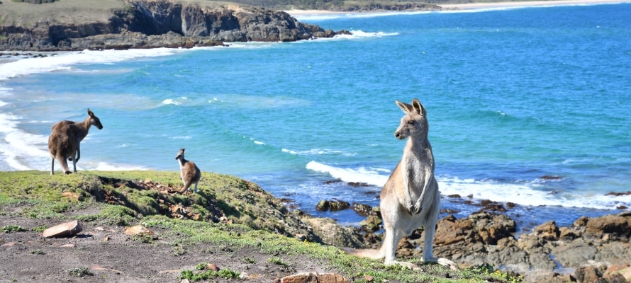 Australia season